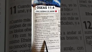 #oseas  11:4 #dios te llama con cuerdas de Amir