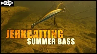 Jerkbait Tactics for Summer Bass