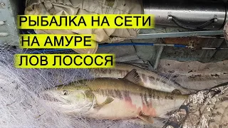 Рыбалка на сети на Амуре. Лов кеты. Осенняя рыбалка на реке