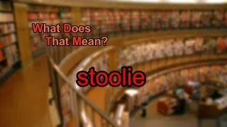 What does stoolie mean?