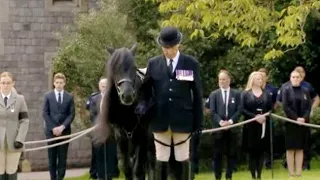 Queen’s Horse Emma says goodbye | Rest in peace Her Majesty The Queen Elizabeth III