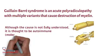 Guillain-Barré syndrome Summarized in 3 Minutes for HCPs (Presentation - Diagnosis - Treatment)