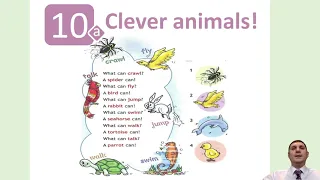 Урок 32 (урок 10а "Clever animals!"  по модулю 5 "Furry friends!" учебника Spotlight 3 класс)