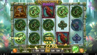 Обзор игрового автомата Rainforest Magic (PlayN ' GO)