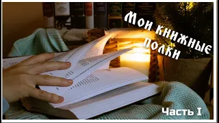 МОИ КНИЖНЫЕ ПОЛКИ. Часть первая. Азбука, Эксклюзивная классика, Робин Хобб, Гарри Поттер и другие