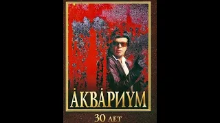 Аквариум юбилейный концерт  30 ЛЕТ 2002  (Remastered 2024)