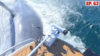 The Best Work Up Footage we have ever Filmed! Hit by a WHALE while Fishing!