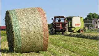 🇮🇹 FIENAGIONE 2021| FIAT 250 + FIATAGRI 100-90| Ranghinatura e pressatura