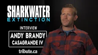 Andy Brandy Casagrande IV - Sharkwater Extinction Interview