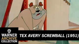 Daredevil Droopy | Tex Avery Screwball | Warner Archive