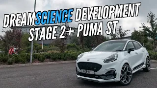 Dreamscience Development Stage 2+ Puma ST