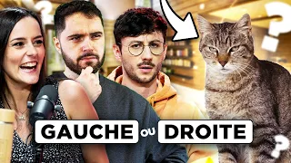 Un chat... de gauche ou de droite ? (avec Rivenzi et Ultia)