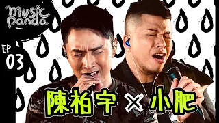 Music Panda EP3 陳柏宇 Jason 小肥 Siufay｜似水流年 下一位前度 蒙著嘴說愛你 黑馬王子 觸景傷城 睡前服 霸氣情歌 在錯誤的宇宙尋找愛 幸福止痛 愛無膽 別來無恙 時光機