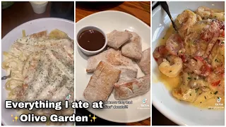 Everything I ate at ✨Olive Garden✨