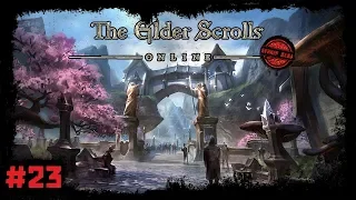 The Elder Scrolls Online (Стрим) #23. Пустыня Алик'р ч.2. Гильдия Магов и Бойцов - финал