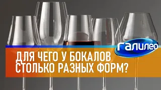 Галилео 🍷 Для чего у бокалов столько разных форм?