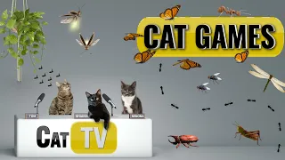 CAT Games | Ultimate Cat TV Bugs and Butterflies Compilation Vol 7 🐝🐞🦋🦗🐜 | Videos For Cats to Watch