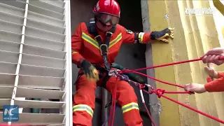 Two cats trapped in ventilation duct rescued by firefighters