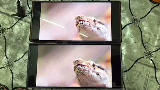 Samsung Note20 Ultra Exynos vs S22 Ultra Snapdragon HDR playback comparison