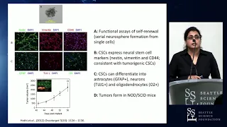 Clinical Trials Targeting Glioblastoma Stem Cells - Parvinder Hothi, PhD