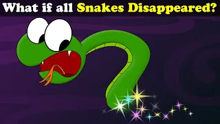 What if all Snakes Disappeared? + more videos | #aumsum #kids #science #education #children