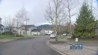 Mysterious Forest Grove noise puzzles neighbors