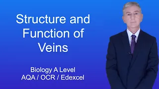 A Level Biology Revision "The Structure and Function of Veins"