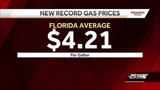 US and Florida gas prices reach record highs Wednesday for second day in a row