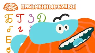 Письменные буквы - Бодо Бородо | ПРЕМЬЕРА | мультфильмы для детей 0+