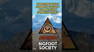 Out now for Patreon and Youtube channel members patreon.com/thebigfootsociety release to the public