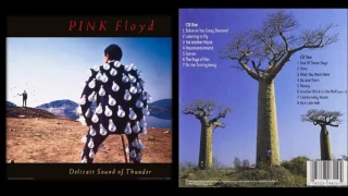Pink Floyd: Delicate Sound of Thunder CD1 - 1988