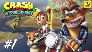 Crash Bandicoot: Warped (N. Sane Trilogy) – Часть 1 (прохождение с комментариями) [PS4]