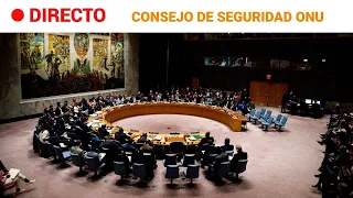 CONSEJO DE SEGURIDAD sobre la situación en ORIENTE MEDIO, incluida la cuestión PALESTINA | RTVE