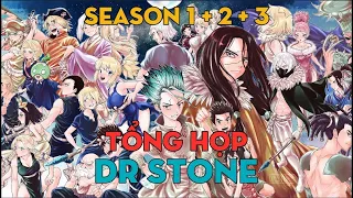 TỔNG HỢP "Dr. Stone" | Em Yêu Khoa Học Thời Kỳ Đập Đá | Season 1+2+3 | AL Anime