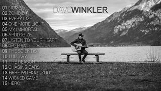 Dave Winkler - Most Viewed Acoustic Covers