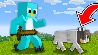 Speedrunner VS Hunter, BUT you Can SHAPESHIFT - Minecraft