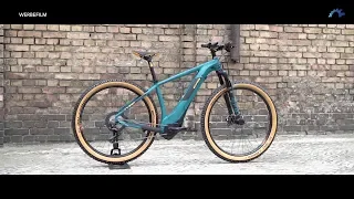 CUBE Reaction Hybrid SLT KIOX 2019 / E-MTB / Bosch InTube / Leicht