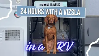 What It’s Actually Like Living in an Rv With a Dog | Spend the Day With Willa