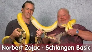 Norberts Zajac zu Besuch | Schlangen Basic bei M&S Reptilien