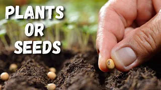 SHOULD you use SEEDS or PLANTS or BOTH?!