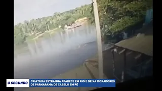 Vídeo: Criatura estranha aparece em rio e deixa moradores de Parnarama assustados