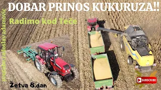 DOBAR PRINOS KUKURUZA!!! Žetva 8.dan:Radimo kod Teče; GOOD YIELD OF CORN !!! Harvest Day 8.