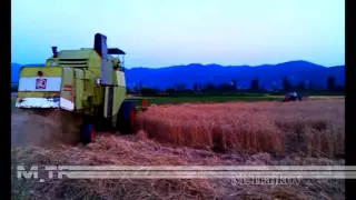 CLAAS Mercator 75 harvest Strumica Macedonia season 2014
