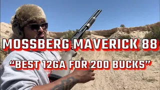 MOSSBERG MAVERICK 88 - best 200 dollars ive ever spent - (4k 60FPS)