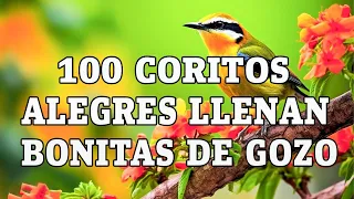 100 Minutos de coritos pentecostales - 50 Coros pentecostales viejitos pero muy bonitos