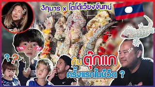 พาบุกรังตุ๊กแกที่เวียงจันทน์ ทั้งจับ ทั้งทำ ทั้งกิน เอนจอยสุดๆ !! | กุมารTravel EP.248