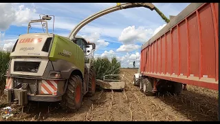 Chopping Corn Silage near Versailles Ohio with JMAR Farms