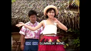 Summer Wine - Video Karaoke (Melovision)