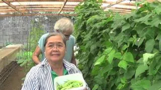 Organic Farming in the Philippines (Reality TV, Se 3 Ep 18: Lovers in paradise!)