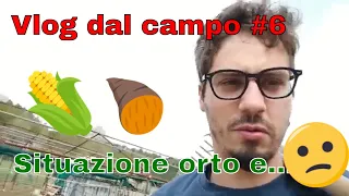 🌶🍅🚜Azienda agricola da ZERO- Al campo! - Vlog #6 - semina arachidi, situazione dell'orto, e varie